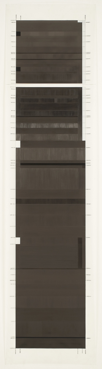 © Joan Waltemath. "Dinwoody I," 2005, graphite and colored pencil on mylar print, 80 x 20."