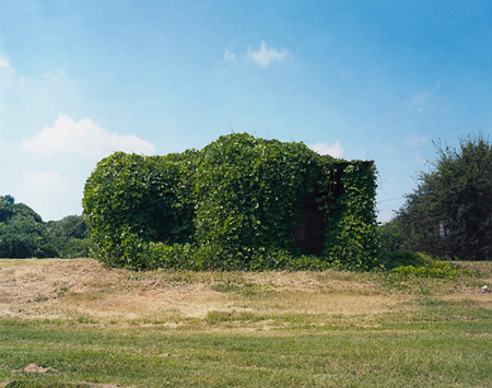 © William Christenberry, "Kudzu Devouring Building, near Greensboro, Alabama," Chromogenic color print, 18 1/4x23."