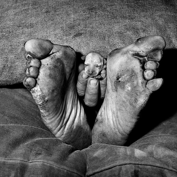 Roger Ballen, "Puppy between feet," 1999. Courtesy of the artist.